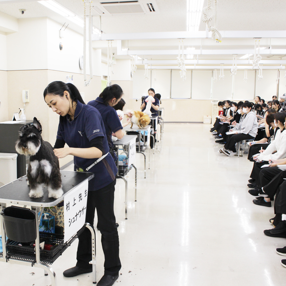 １年生へ、先生の試技会！Part②